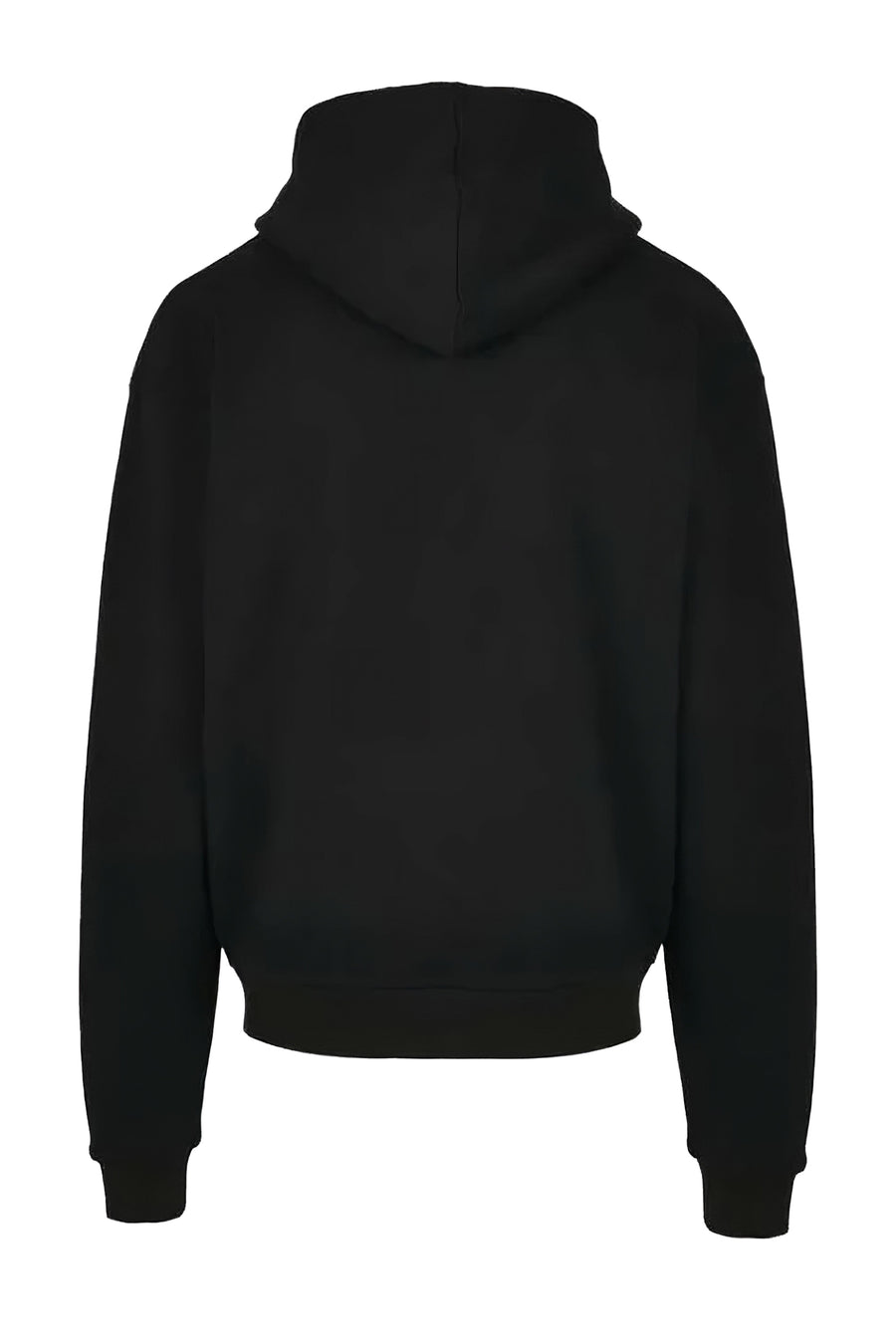 RHP-Logo-Hoody - limitierte Kleinauflage - ausverkauft